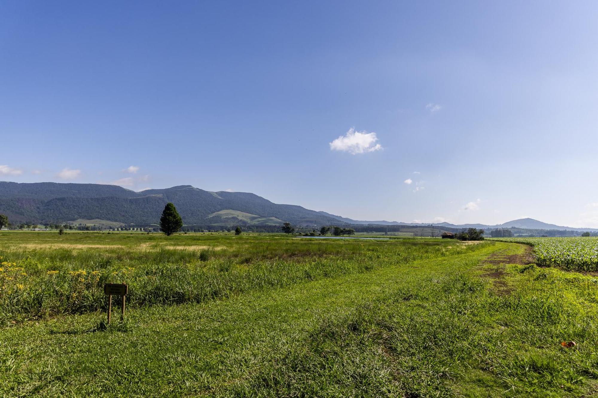 Hotel Gartmore Guest Farm Howick Exterior foto